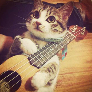 口暴双飞吞精免费视频
