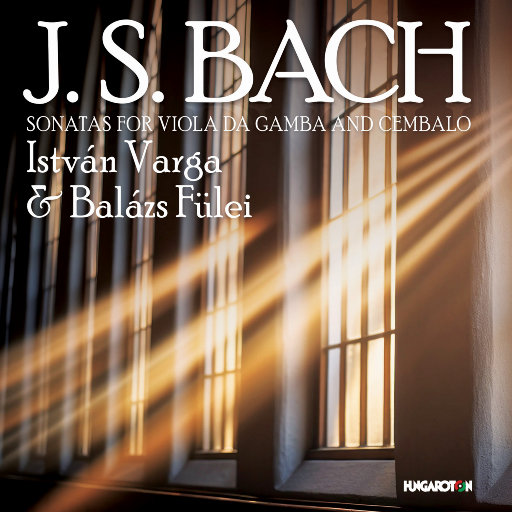 口暴双飞吞精免费视频
